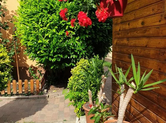 Renata Vendeghaz Gasthof Erlau